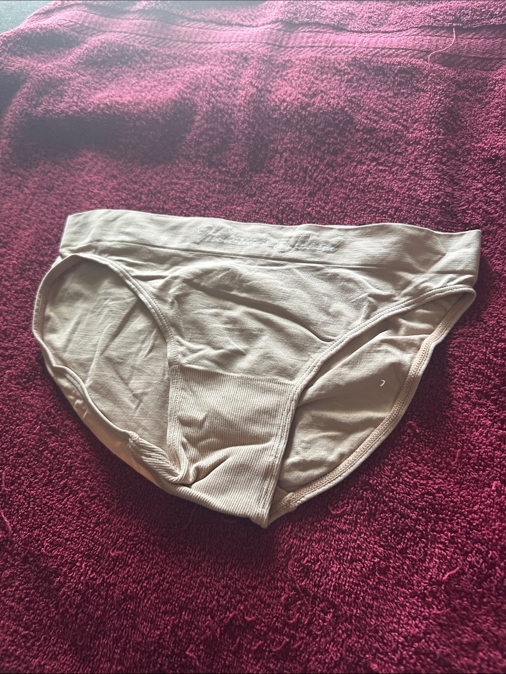 NWOT Victoria's Secret Beige Cotton Bikini Panty